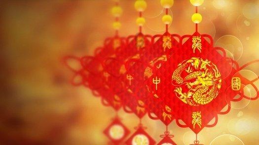 寂静森林找星星